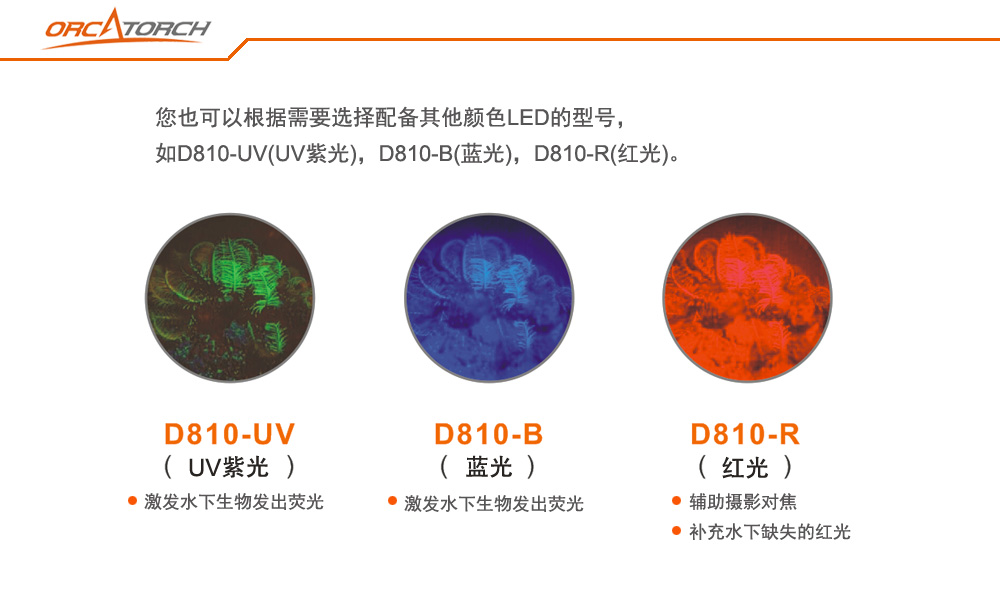 OrcaTorch虎鲸,技术潜水手电筒,分体式潜水手电筒,潜水照明 OrcaTorch虎鲸,技术潜水手电筒,分体式潜水手电筒,潜水照明
