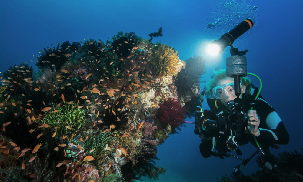 D950V最大流明潜水手电筒，水下摄影手电筒，水下大功率手电筒，多用途水下手电，OrcaTorch虎鲸 