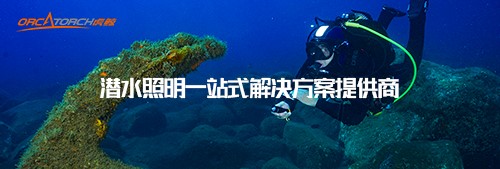 恭贺OrcaTorch虎鲸入围2022潜水手电筒十大品牌