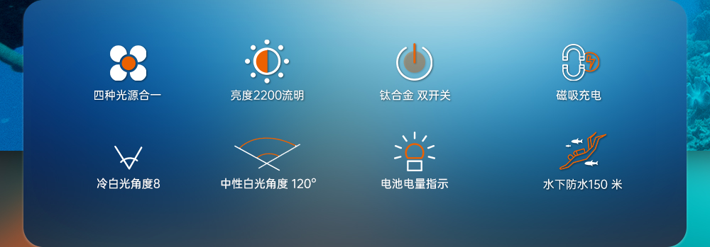 D900V水下摄影灯,水下摄影补光灯,潜水照明灯,打捞照明,OrcaTorch虎鲸