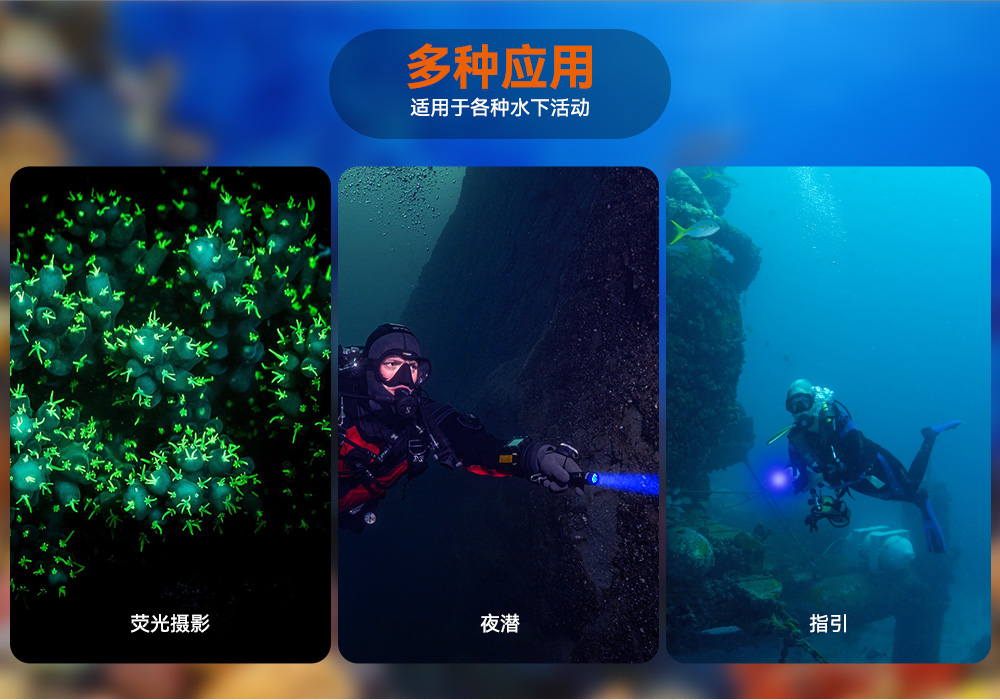 D530蓝光手电筒 潜水摄影照明_潜水照明_水下摄影照明_潜水摄影补光灯_ 虎鲸OrcaTorch