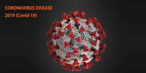 6种方式阻止新型冠状病毒传播