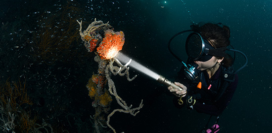 【展会资讯】邀请您参加2026新加坡潜水展（2026年4月10-12日 ）