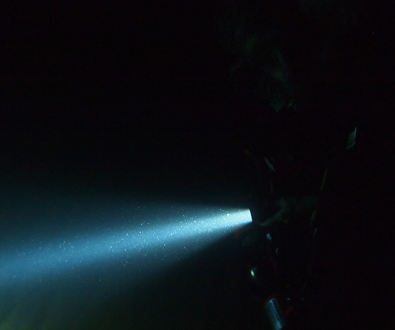 OrcaTorch虎鲸，D850手持式潜水灯，多灯源水下照明，便携式潜水，水下摄影补光灯
